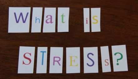 The Definition of Stress: We’ve Had It All Wrong